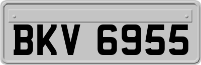 BKV6955