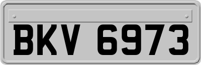 BKV6973