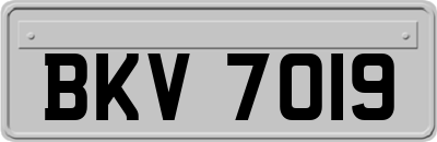 BKV7019