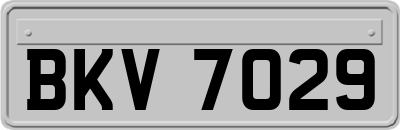 BKV7029