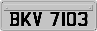 BKV7103