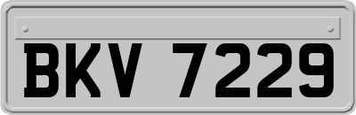 BKV7229
