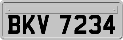 BKV7234