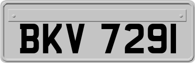 BKV7291