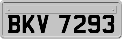 BKV7293