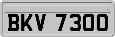 BKV7300