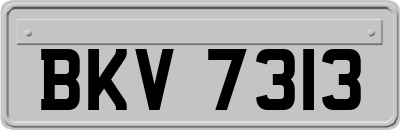 BKV7313