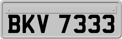 BKV7333