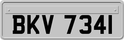 BKV7341