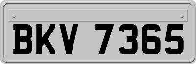 BKV7365