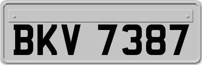 BKV7387