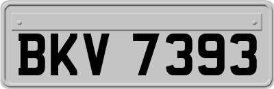 BKV7393