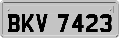 BKV7423