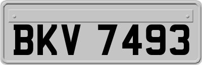 BKV7493