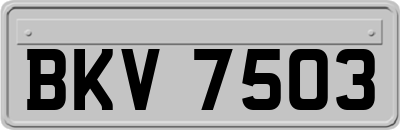 BKV7503