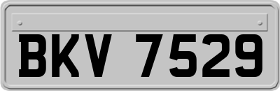 BKV7529