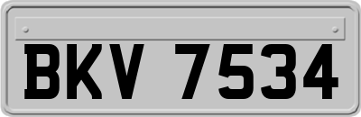 BKV7534