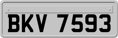 BKV7593