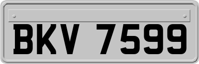 BKV7599