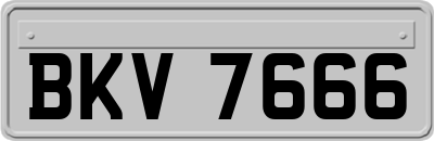 BKV7666