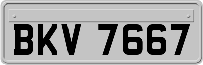 BKV7667