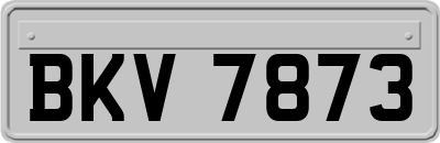 BKV7873