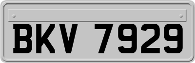 BKV7929