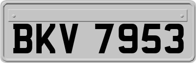 BKV7953