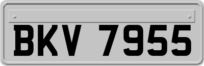 BKV7955