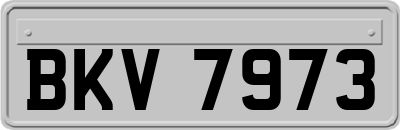 BKV7973
