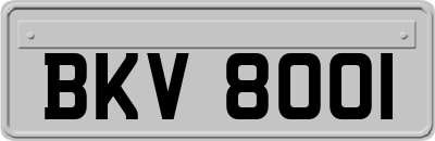 BKV8001