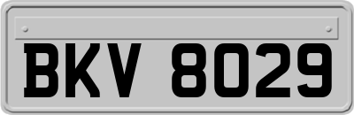 BKV8029
