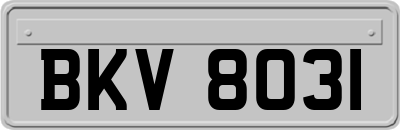 BKV8031