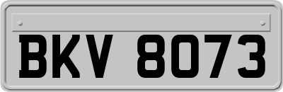 BKV8073