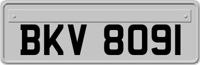 BKV8091