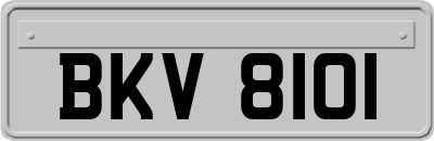 BKV8101