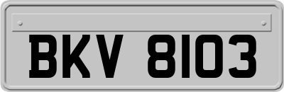 BKV8103