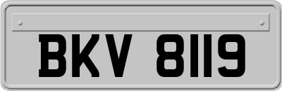 BKV8119