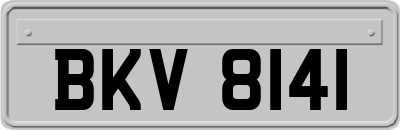 BKV8141