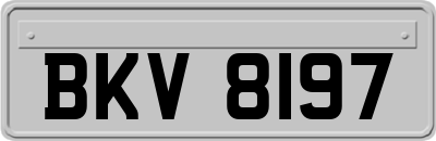 BKV8197