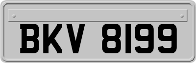 BKV8199