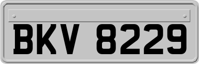 BKV8229