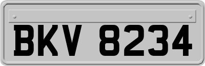 BKV8234