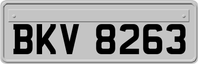 BKV8263