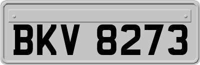 BKV8273
