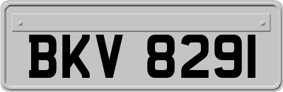 BKV8291