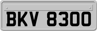 BKV8300