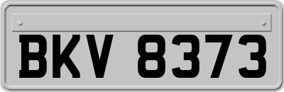 BKV8373