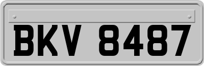 BKV8487