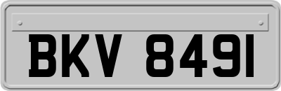 BKV8491